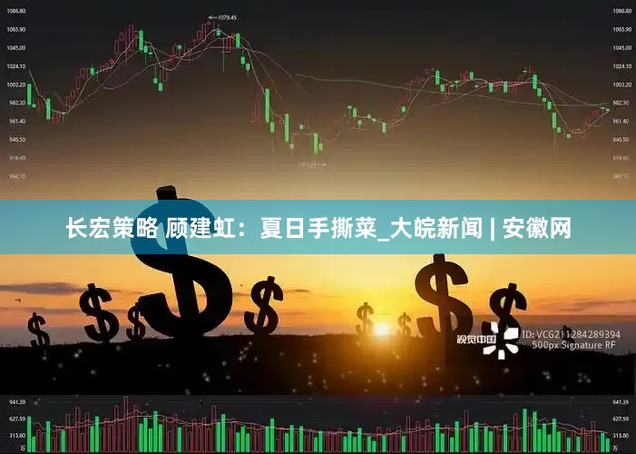 长宏策略 顾建虹：夏日手撕菜_大皖新闻 | 安徽网